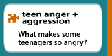 teen anger + aggression
